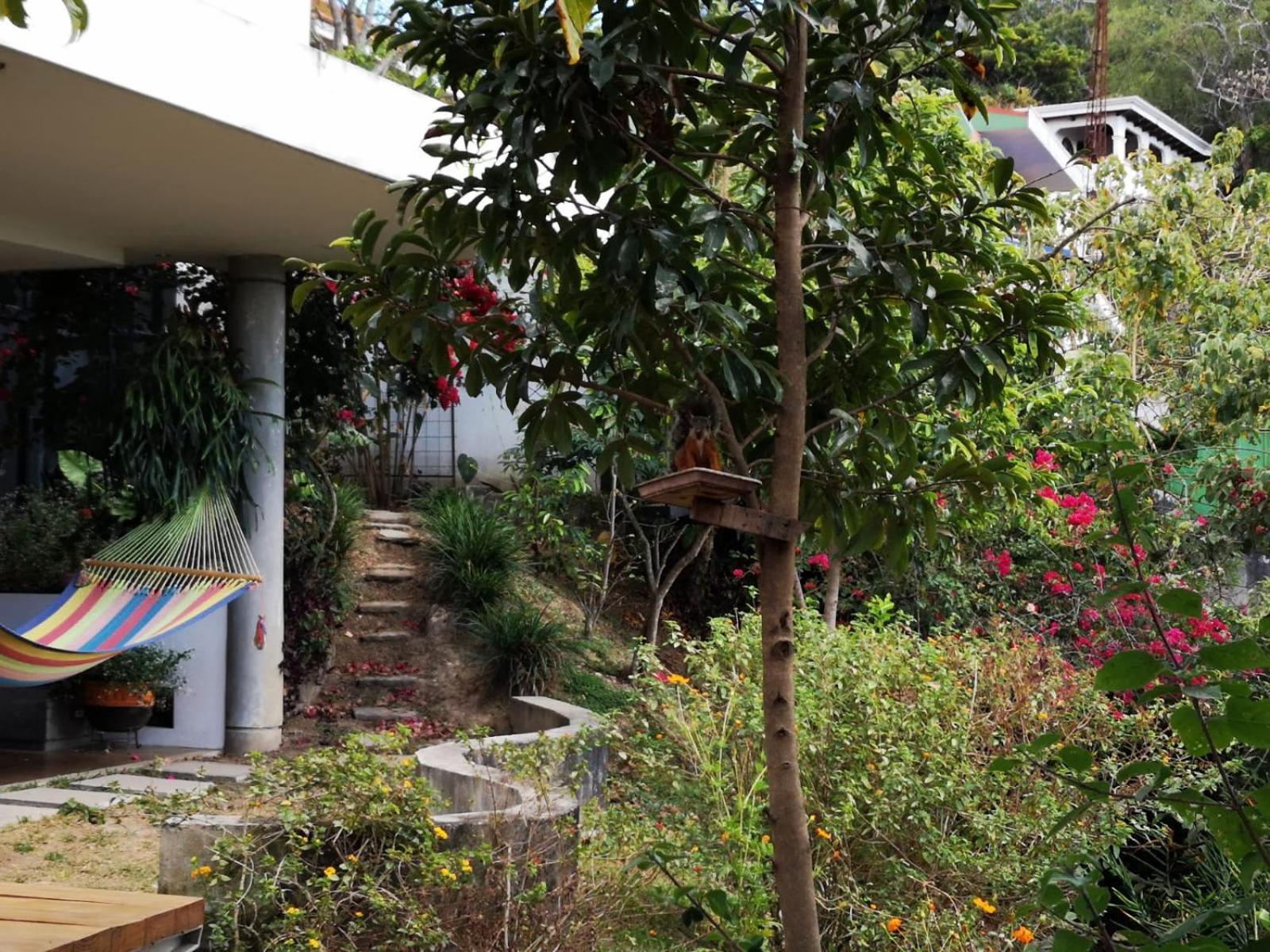 Casa Marlui-San Jose Apartment Curridabat Exterior photo